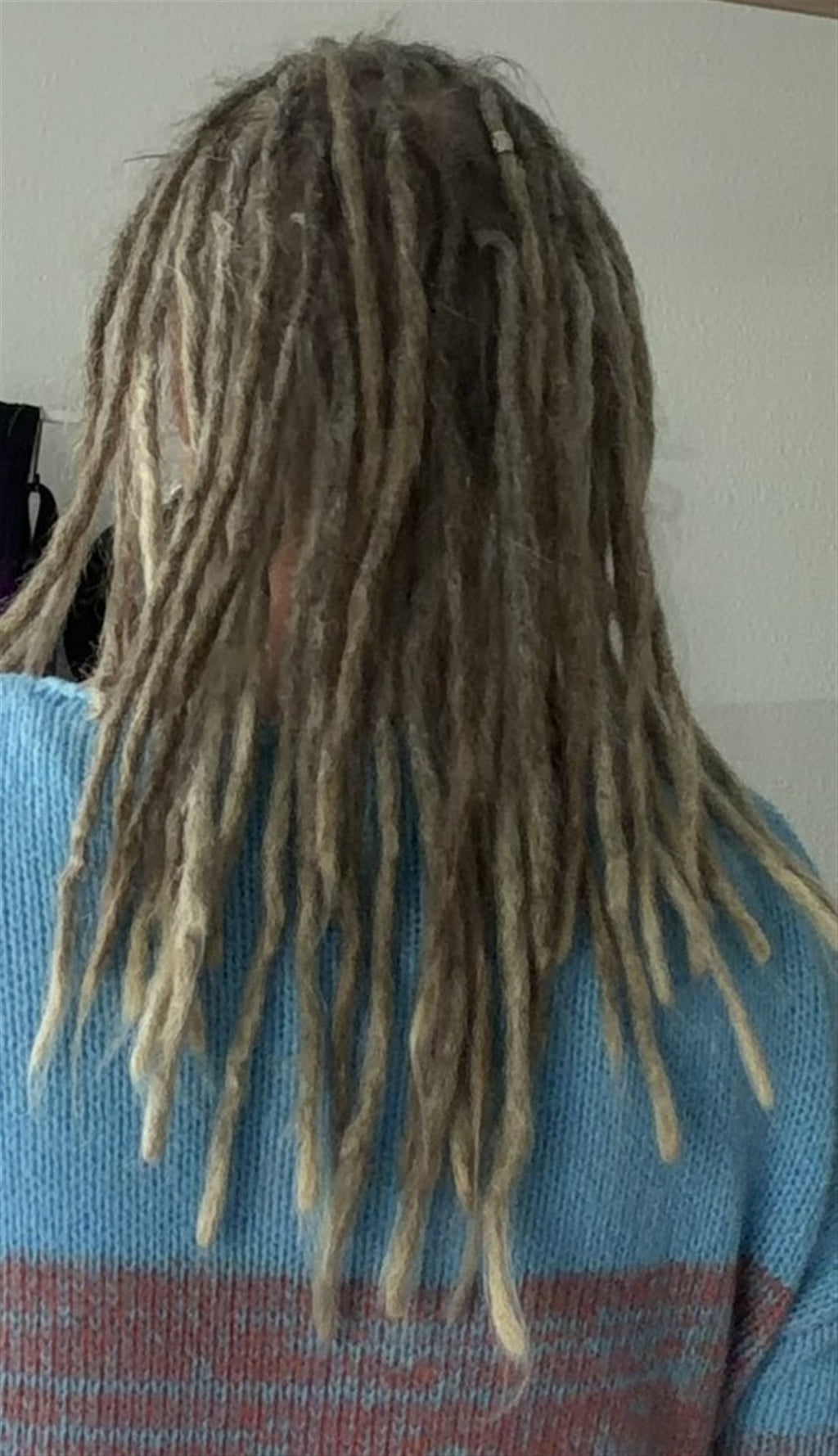 Dreadlocks von hinten im Tageslicht, Titelbild des Buches